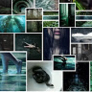 Meet your Posher, Hatters &